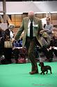 Crufts2011_2 1147